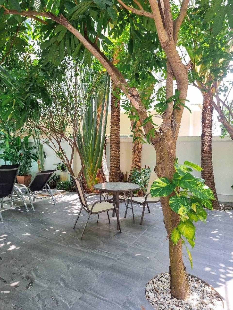 ปล่อยเช่า The Place เดอะ เพลส พระตำหนัก