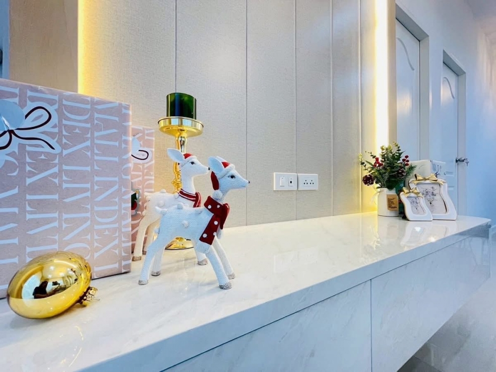 หมู่บ้าน cozy ville