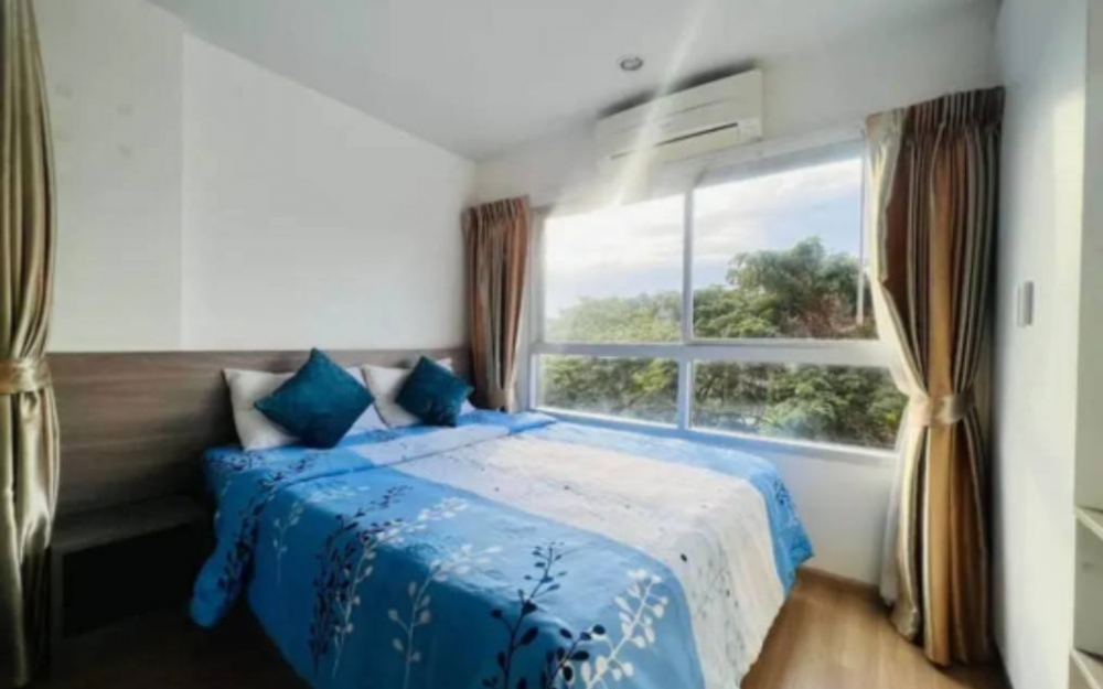 ให้เช่า The Grass South Pattaya เดอะ กราส พัทยาใต้ 1 ห้องนอน