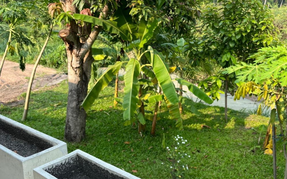 ขาย Pool Villa 3 ห้องนอน 3 ห้องน้ำ ตะเคียนเตี๊ย (2)