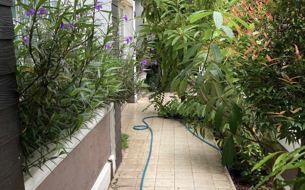 ขายบ้านเดี่ยวชั้นเดียว 2 ห้องนอน 3 ห้องน้ำ ไมค์ออคิด วิลล่า (2)