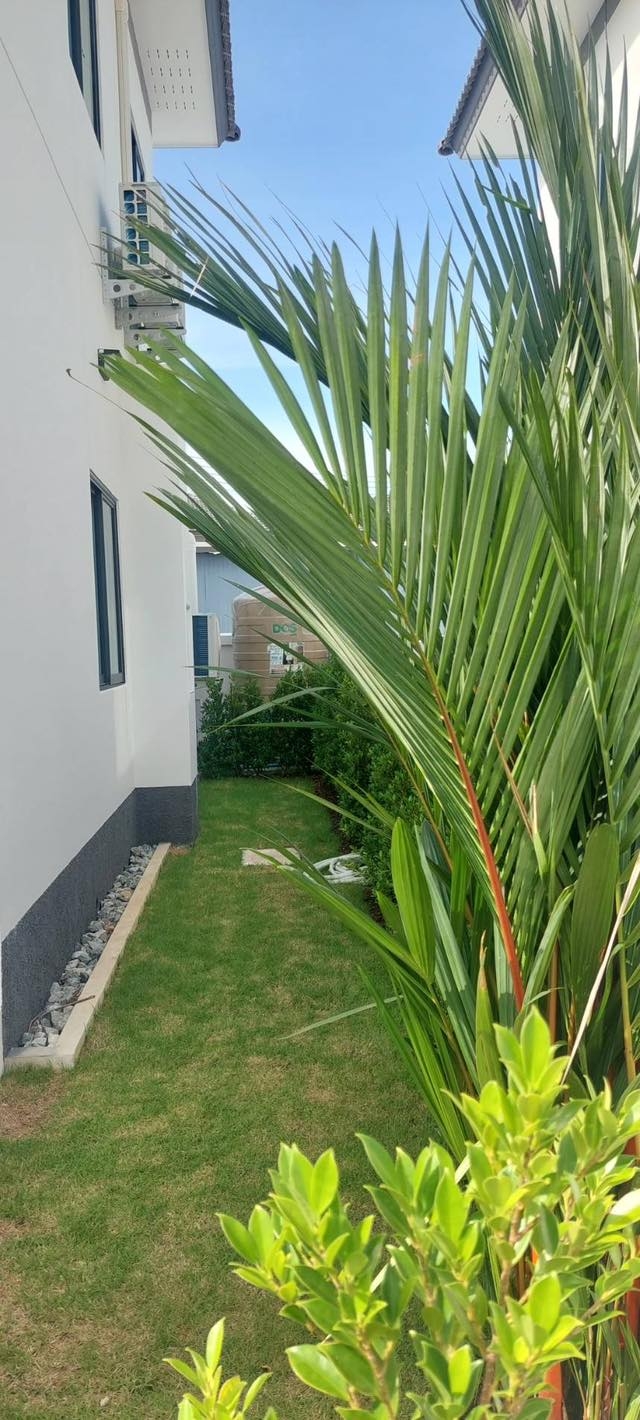 ให้เช่า บ้านเดี่ยว 2 ชั้น 3 ห้องนอน 1 ห้องน้ำ ห้วยใหญ่