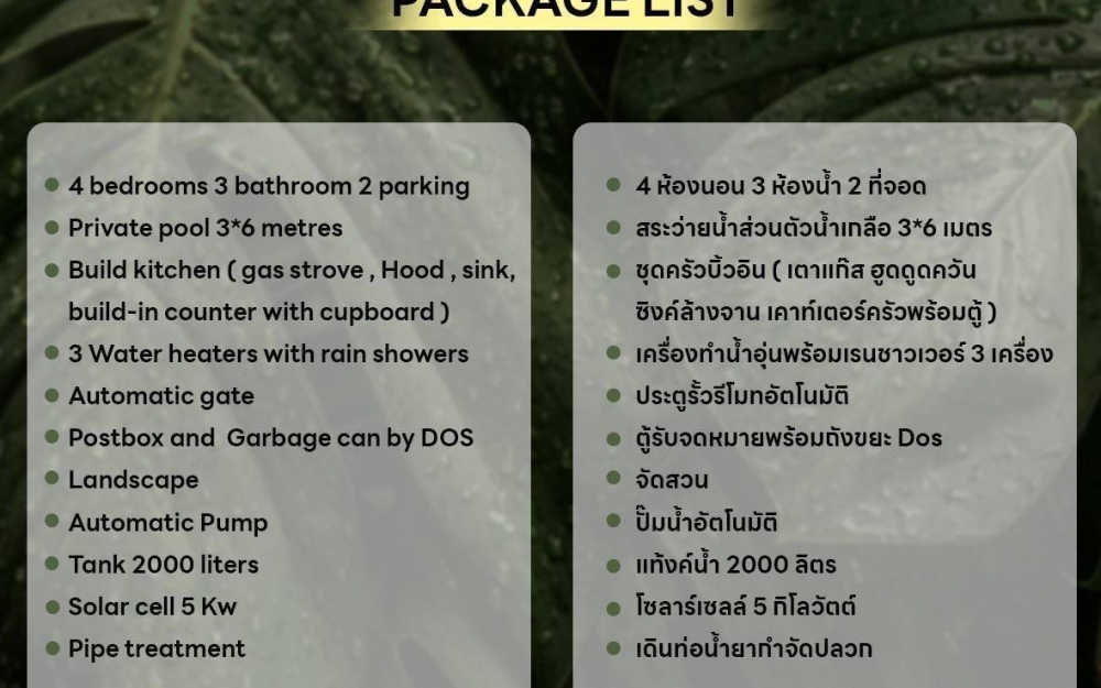 ขาย Pool Villa 4 ห้องนอน 3 ห้องน้ำ มาบประชัน (2)
