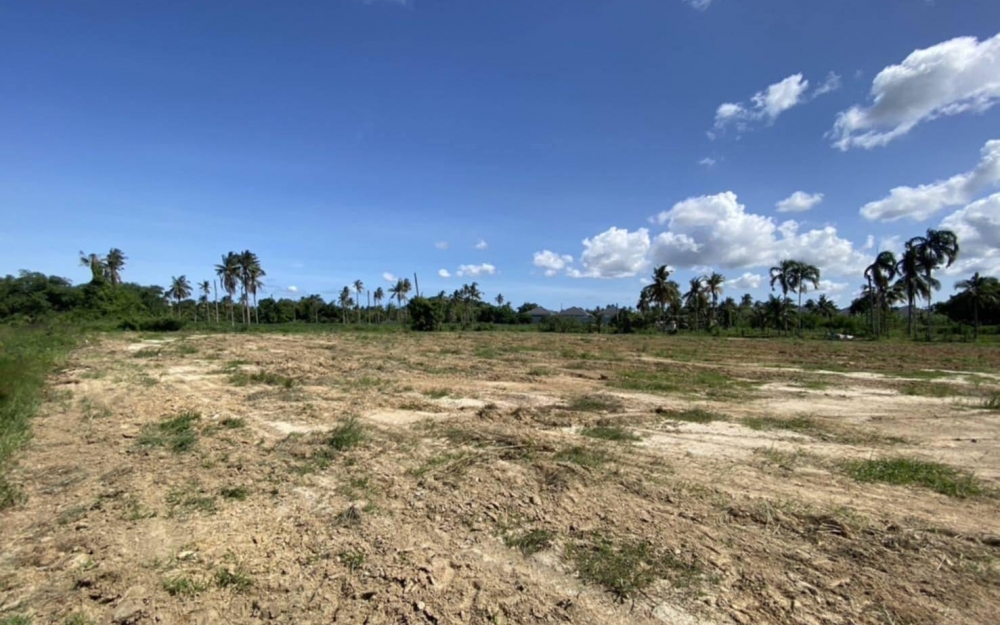 ขายที่ดินทำเลดี เหมาะทำพูลวิลล่า ซอย K9 พัทยา ห้วยใหญ่ 2 ไร่ 3 งาน 17 ตร.วา (3)