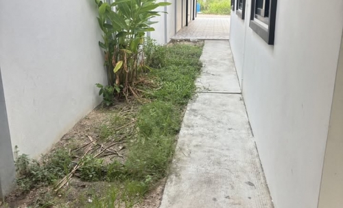 ให้เช่าบ้านเดี่ยวชั้นเดียว 3 ห้องนอน 2 ห้องน้ำ หนองเกตุน้อย