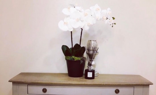 ขาย Cetus Beachfront Jomtien ซีตัส บีชฟร้อนท์ จอมเทียน 2 ห้องนอน วิวทะเล (2)