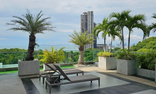 ปล่อยเช่า The Point เดอะ พอยท์ พระตำหนัก