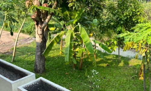 ขาย Pool Villa 3 ห้องนอน 3 ห้องน้ำ ตะเคียนเตี๊ย (2)