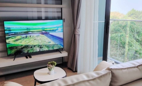 ปล่อยเช่า Andromeda Condominium Pratumnak พระตำหนัก