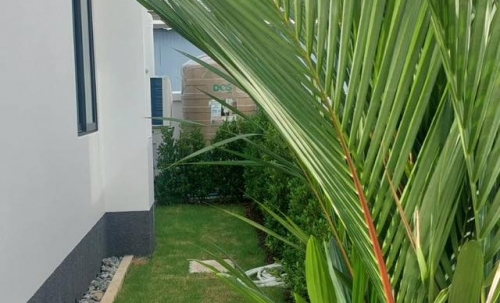 ให้เช่า บ้านเดี่ยว 2 ชั้น 3 ห้องนอน 1 ห้องน้ำ ห้วยใหญ่