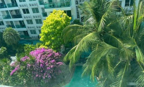 ขาย Amazon Residence Jomtien อเมซอน เรสซิเด้น 1 ห้องนอน วิวสระ (2)