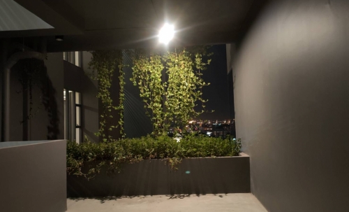 ให้เช่า Once Pattaya วันซ์ พัทยา 1 ห้องนอน วิวเมือง