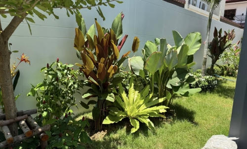 ขาย Pool Villa 2 ชั้น 6 ห้องนอน 7 ห้องน้ำ เอกมงคล ชัยพฤกษ์ 2 จอมเทียน (3)