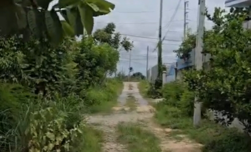 ขายที่ดินติดคฤหาสน์โทนี่ หนองปลาไหล  ขนาด 1 งาน 50 ตารางวา ติดเจ้าของ