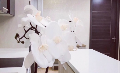 ขาย Cetus Beachfront Jomtien ซีตัส บีชฟร้อนท์ จอมเทียน 2 ห้องนอน วิวทะเล (2)