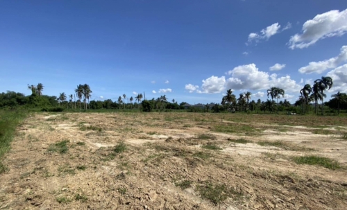 ขายที่ดินทำเลดี เหมาะทำพูลวิลล่า ซอย K9 พัทยา ห้วยใหญ่ 2 ไร่ 3 งาน 17 ตร.วา (3)