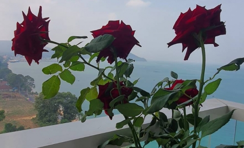 ขาย Del Mare Bangsaray เดลมาเล่ย์ บางเสร่ 2 ห้องนอน 2 ห้องน้ำ วิวทะเล (2)